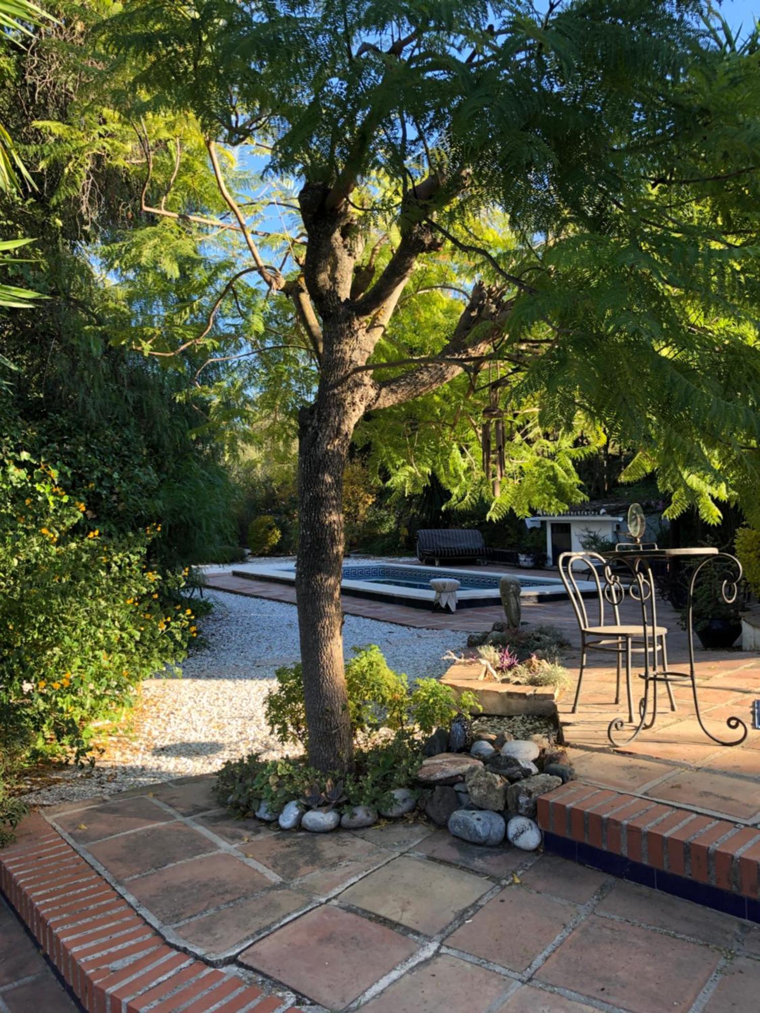 Finca El Rio,, La Casita One Of 2 Self Catering Studios. Pool And Hydrotherapy Jacuzzi Малага Экстерьер фото